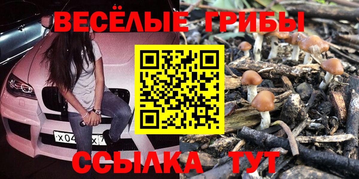 Галлюциногенные грибы ЛСД Муравленко